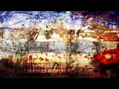 The Rhythms of Migration