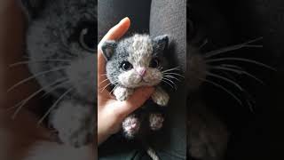 Knitted kitten #knit #cats #kitten #diy #patterns #handmade #realistic