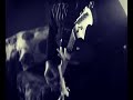 Rammstein- Was Ich Liebe (riff cover)