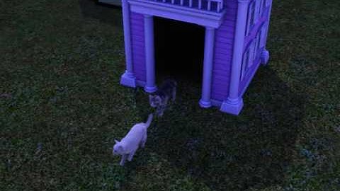 The Sims 3: Pets Cat Woohoo + Give Birth For Kittens Again