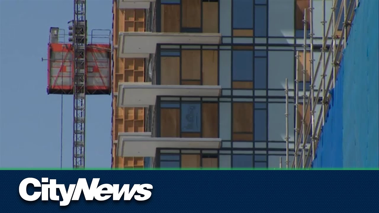 Alberta Wall's Instagram, Twitter & Facebook on IDCrawl