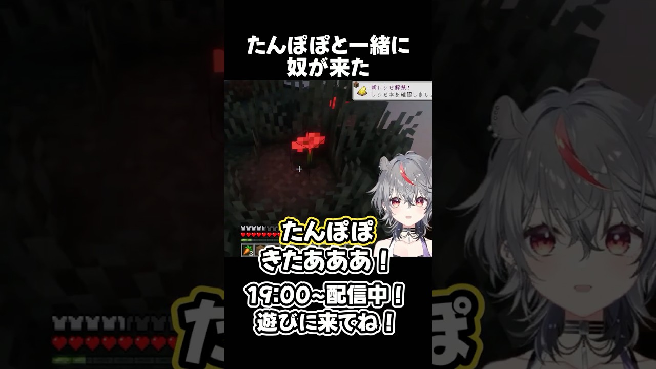 たんぽぽと一緒に奴が来た #shorts #Minecraft #マイクラ #vtuber
