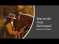 Was ist die trust technique