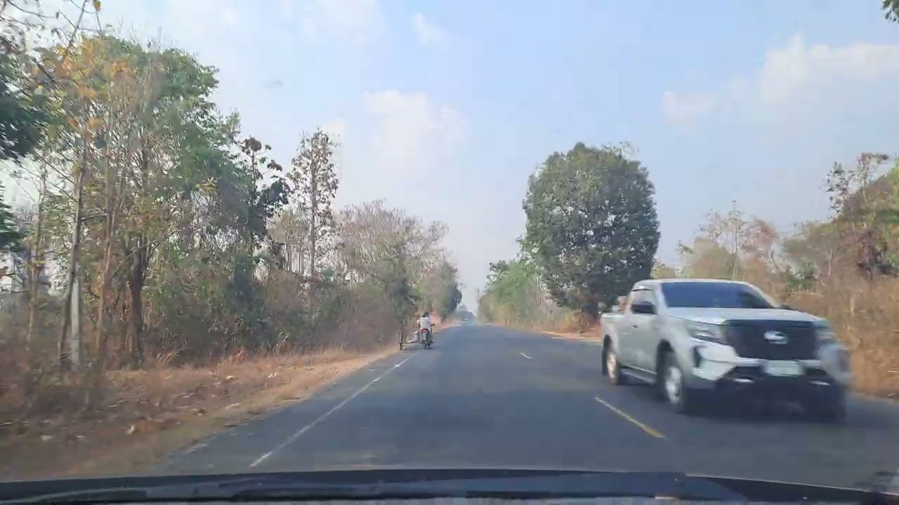 ดอกจานบานแล้วร่วง...!