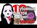 10 прикольных фактов о компьютерной мыши, от которых плачешь... #computer #изобретение #прикол