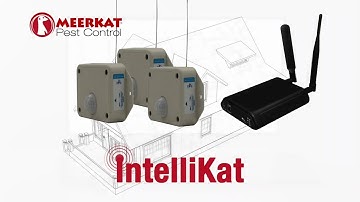 Intellikat | Electronic Pest Monitoring | Meerkat Pest Control