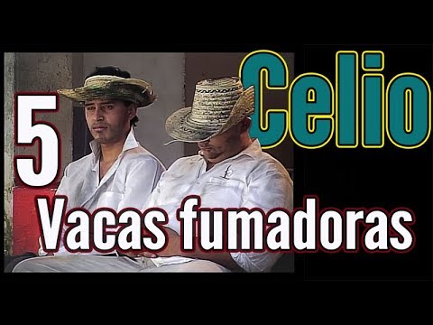 😩 CELIO 5 | Smoking Cows | Milk Yourself With Laughter 👏🏻