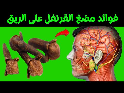 ابدأ صباحك في مضغ مسمار واحد من القرنفل على الريق ستبهرك حتما فوائد مضغ القرنفل على الريق