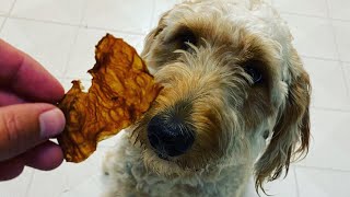 SCOBY Dog Treats Part 2/2