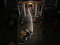玄関猫パニック Porch Cats The Nightly Chaos amanojak 監視カメラが捉えた猫たちの暴走劇