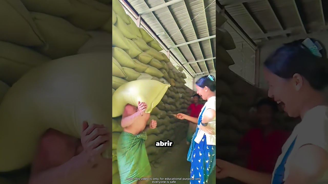 Así revisan el grano sin romper nada ¡Increíble!😳