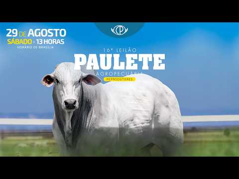 LOTE 01