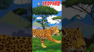 Jungle Animal Sounds Song 🌴 Leopard, Kinkajou, Cassowary &amp; Iguana 🐆Learn Fun Jungle Animals for Kids