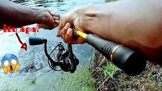 Beginilah Jika Spot Tak Pernah Di Jamah Tukang Setrum mancing Gabus casting Gabus gabus Babon