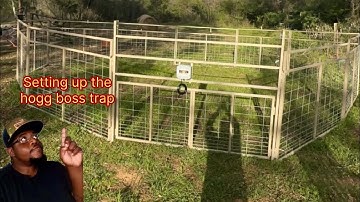 HOW TO SET UP THE HOGG BOSS HOG TRAP