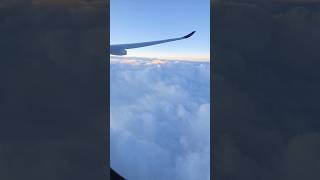 Delta A330 Window View