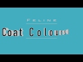 Feline Colours and Patterns - Variations!