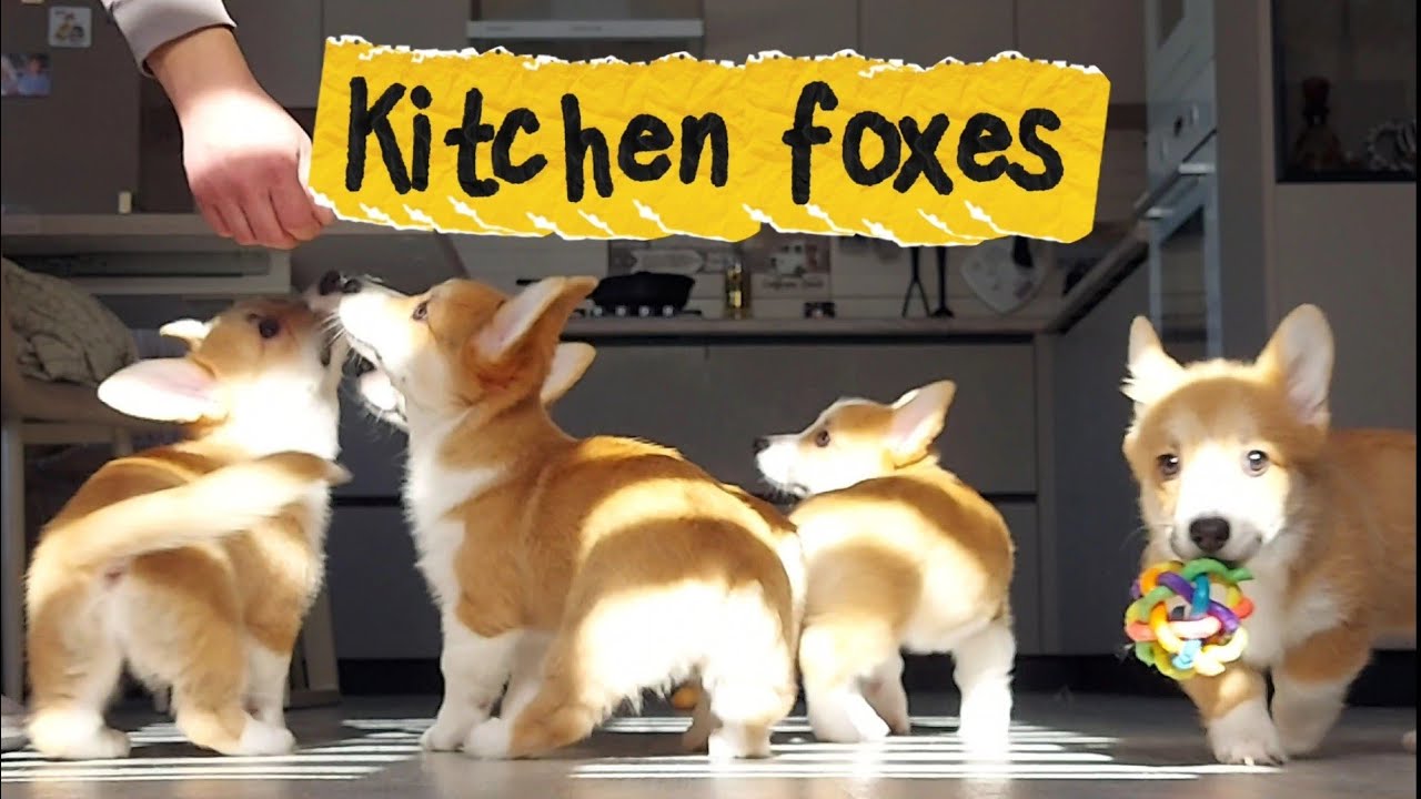 Aren’t you looking for us?.😘