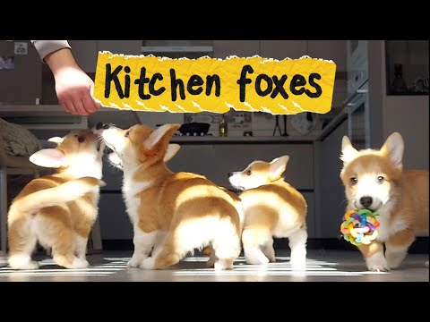 Aren’t you looking for us?.😘