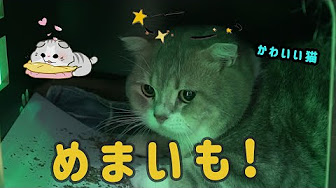 ナルト 疾風伝 五代目水影 Vs うちは イタチ 枇杷 十蔵 Youtube