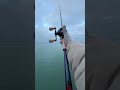 IS THE SLX DC THE BEST BAITCASTING REEL рџЋЈ Fishingreel IS THE SLX DC THE BEST BAITCASTING REEL рџЋЈ Fishingreel