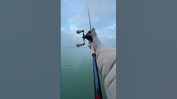 IS THE SLX DC THE BEST BAITCASTING REEL??? 🎣 #fishingreel