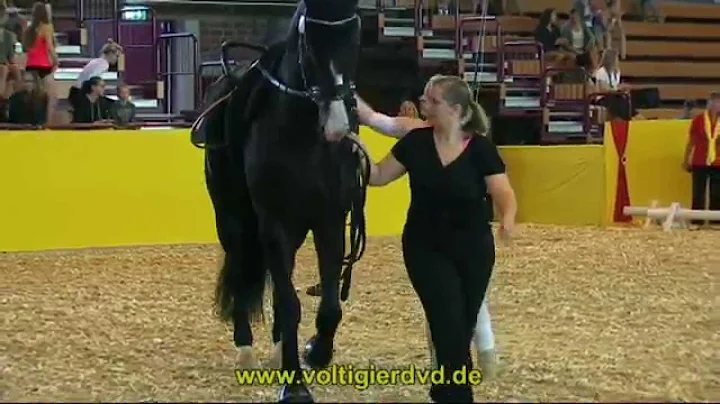 Lisa-Christine Freund - WEF - DVM Alsfeld 2015 - F...