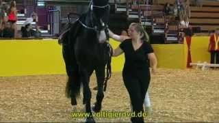 Lisa-Christine Freund - WEF - DVM Alsfeld 2015 - Female - 37