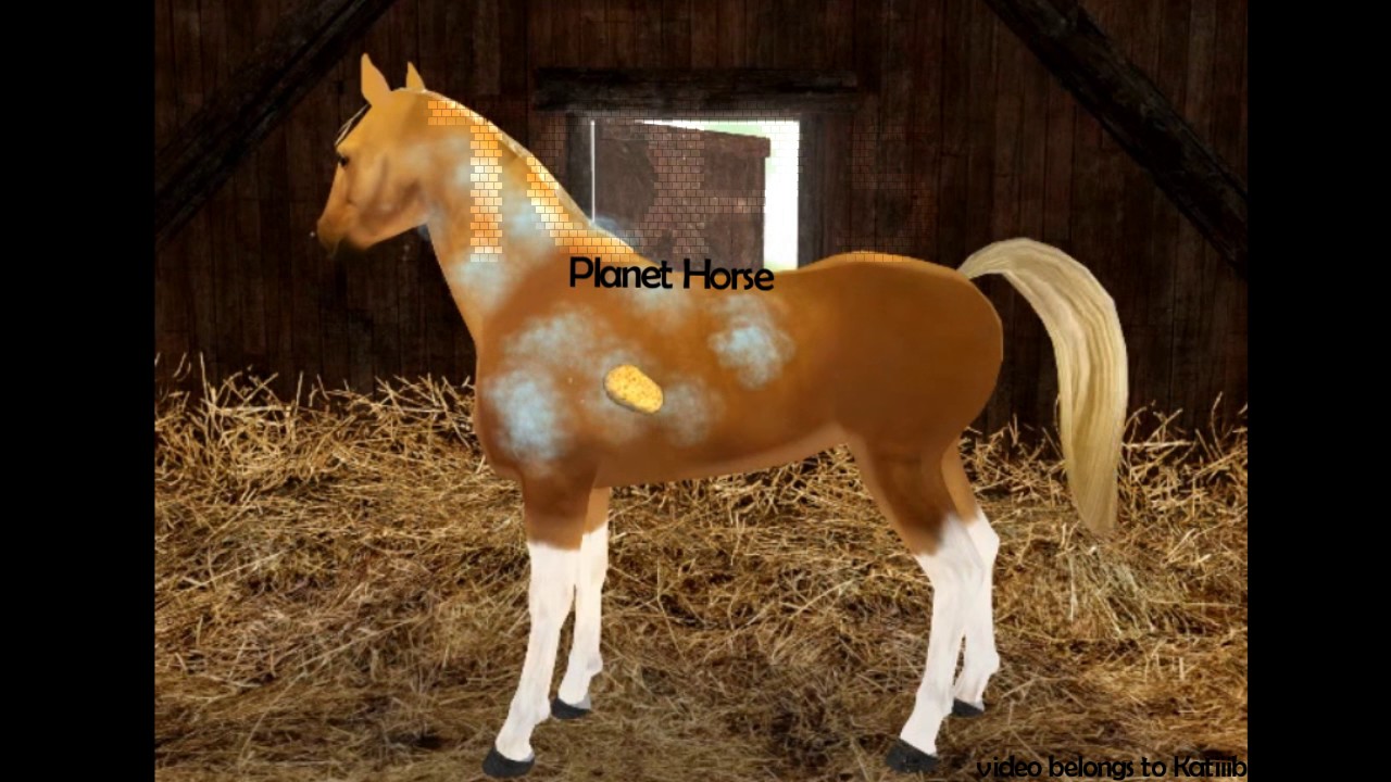 TOP 10 HORSE GAMES YouTube