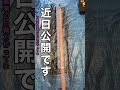 近日公開です【鬼滅の刃 刀鍛冶の里編】#甘露寺蜜璃 #shorts