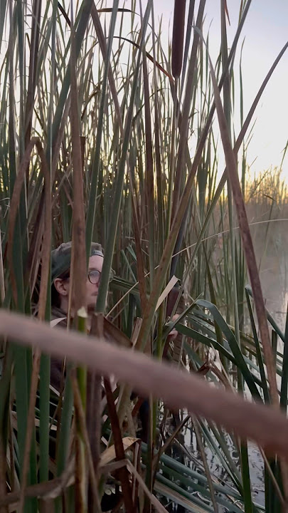 Good Morning from the Duck Slough Set up! #waterfowlhunting #duckhunting #waterfowl #duck #hunting