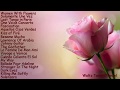 Best Elegant Love Songs Melodies By Piano & Guitar - The Valentine Collection