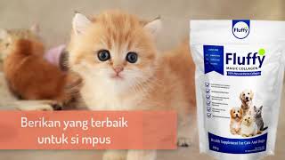 Fluffy Magic Collagen Suplemen Vitamin Anjing & Kucing Dengan Kolagen Protein dan Vitamin C