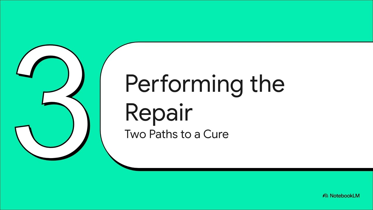 Flaw Excavation & Weld Repair