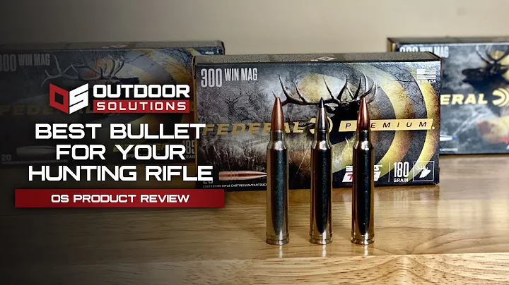 Finding The Right Hunting Ammo For Your Rifle