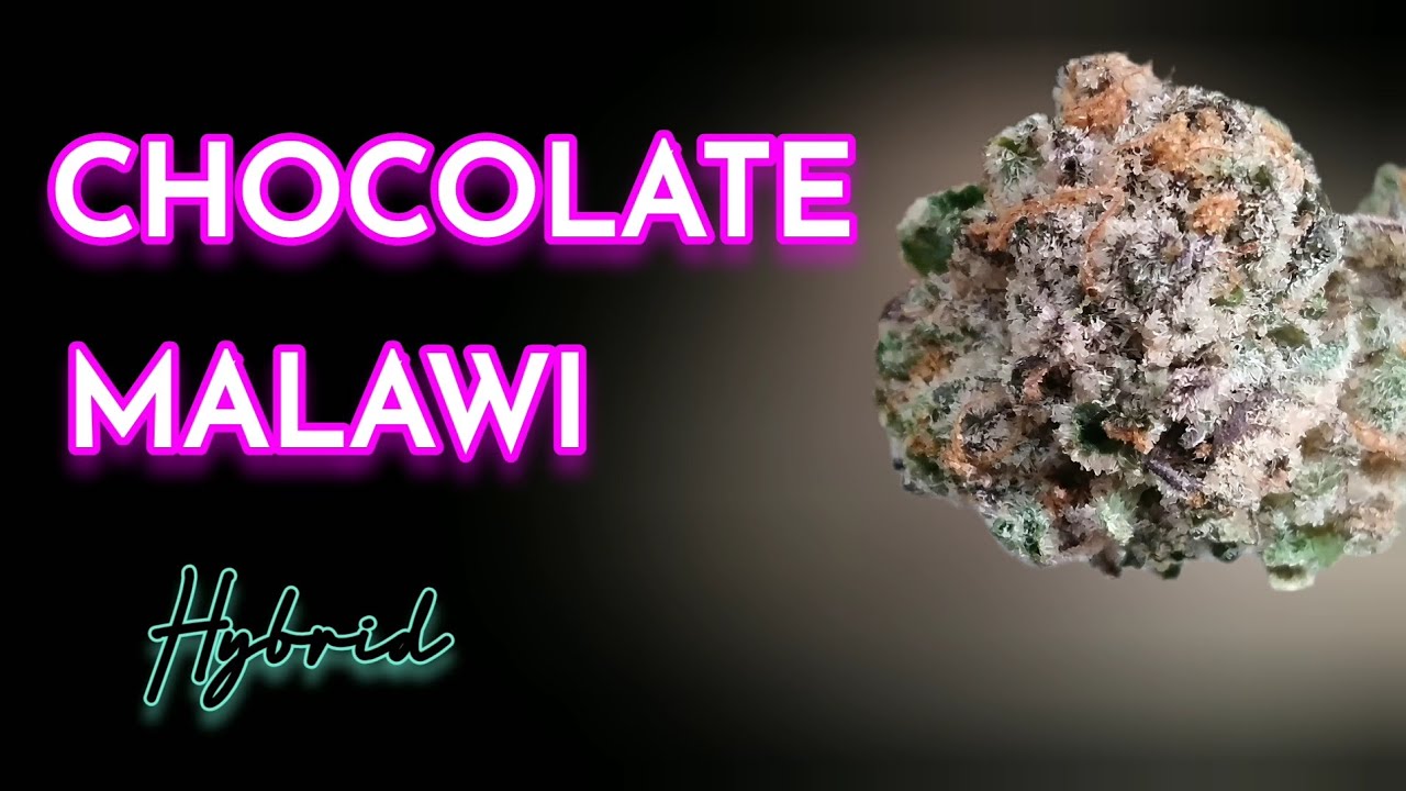Upnorth - Chocolate Malawi - Hybrid - Illinois Cannabis Review 