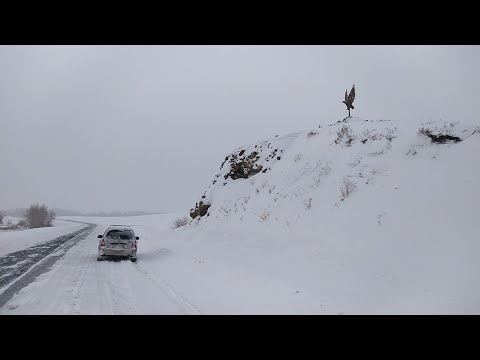 Видео: Каква е критичната граница за готвене?