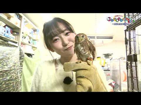 大学発掘バラエティ　キャンパスライフTV～東京農業大学編～