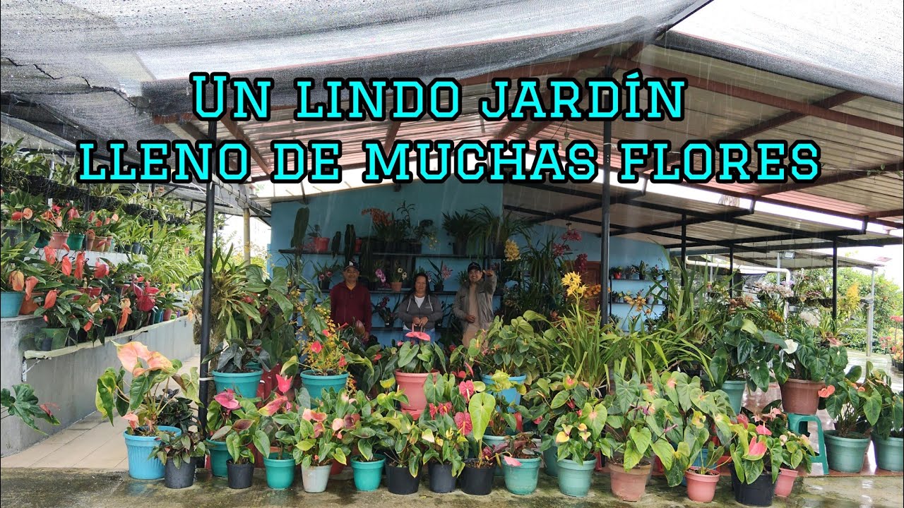 Acompáñame a este hermoso recorrido lleno de muchas flores/PARTE 2 el jardín de Aldemar y Deisy.