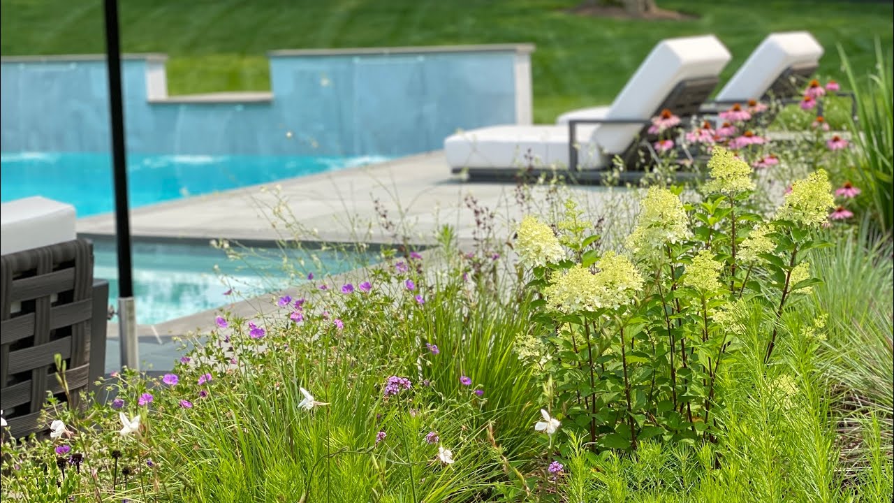 🌸 Project Update ~ Garden Tour 🌸