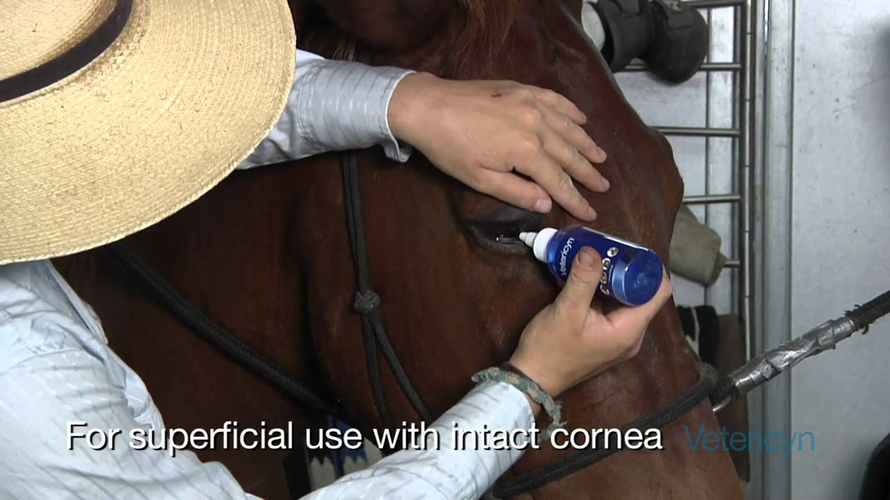 Vetericyn Eye Wash YouTube