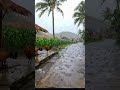 Midday Rain in East Nusa Tenggara | Immersive Village POV Walk (ASMR