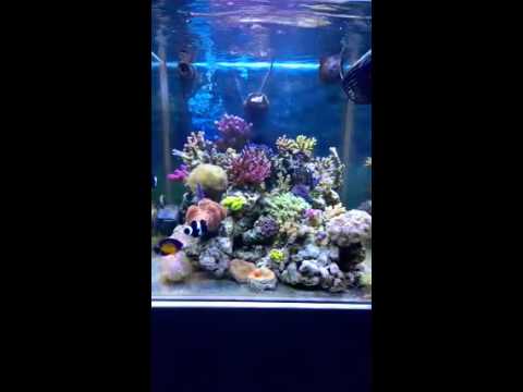 Plafoniere Gnc Bluray : Test gnc am t su cubo cm youtube