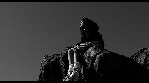 Zevia - why me (Official Visualizer)