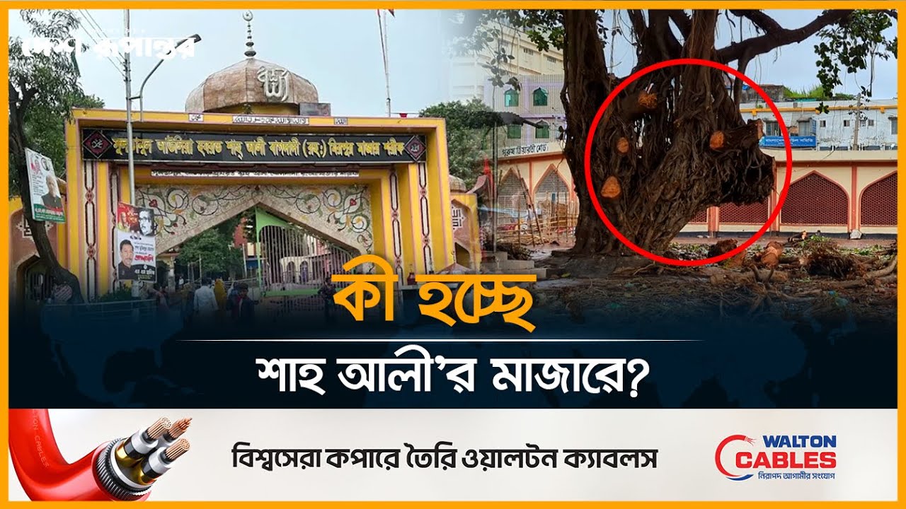 মিরপুরে শাহ আলী মাজারের শতবর্ষী গাছ কা*টা নিয়ে বিতর্ক: ক্ষু*ব্ধ ভক্তরা। Shah Ali Baghdadi