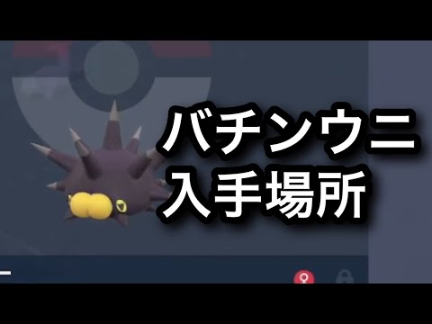 ポケモンsv バチンウニの種族値 わざ 特性など基本情報まとめ スカーレット バイオレット 攻略大百科