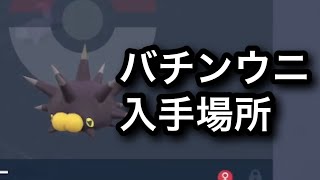 【SV】【速報】バチンウニ入手場所