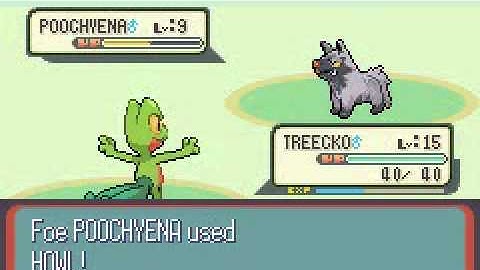 Pokemon Ruby #3: Petalburg Woods, Route 104