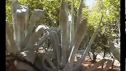 Trip to Greece - Delphi Pt 2/2 Ancient Delphi