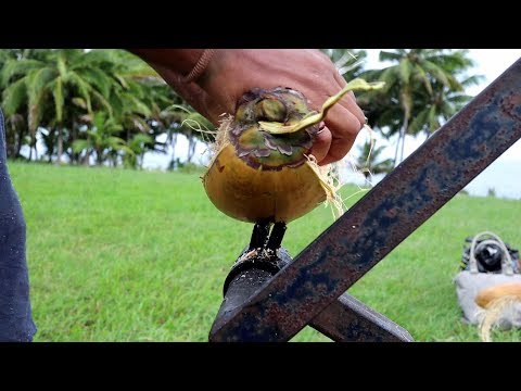 The Coconut Husking Machine